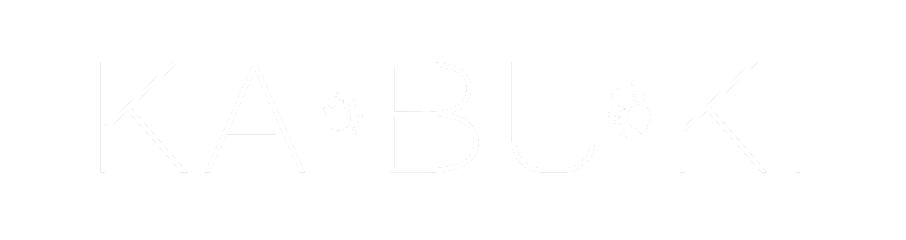 Logo Kabuki Live
